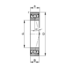 SS HSS71919-C-T-P4S, {(dio)(ji)Ɍb|  = 15ɂ(c)ܷ⣬ǽ|Ӈ(yn)